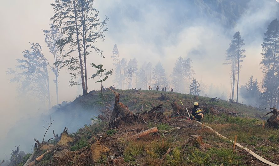 Waldbrand Leppen (Tag 1)