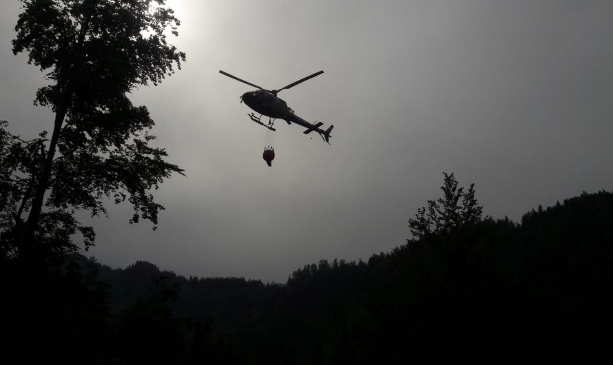 Waldbrand Leppen (Tag 2)