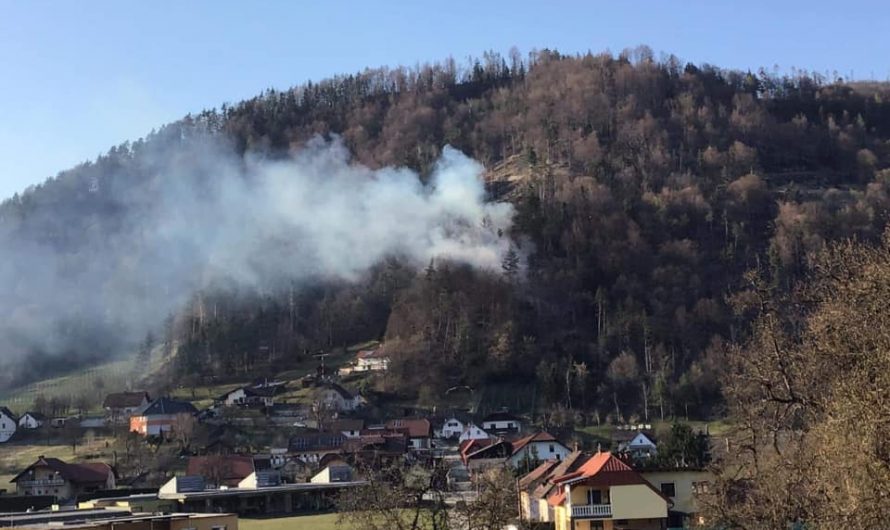 Waldbrand in Sittersdorf