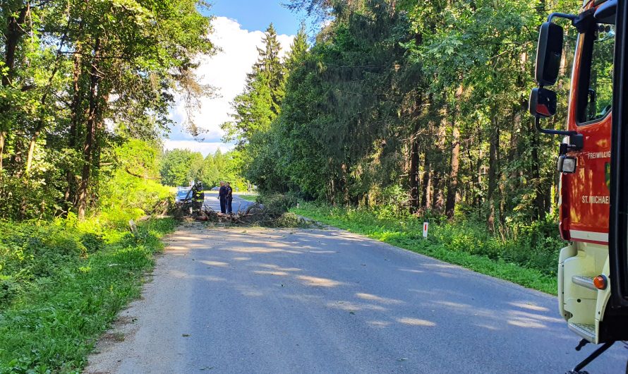 Baum blockiert Fahrbahn