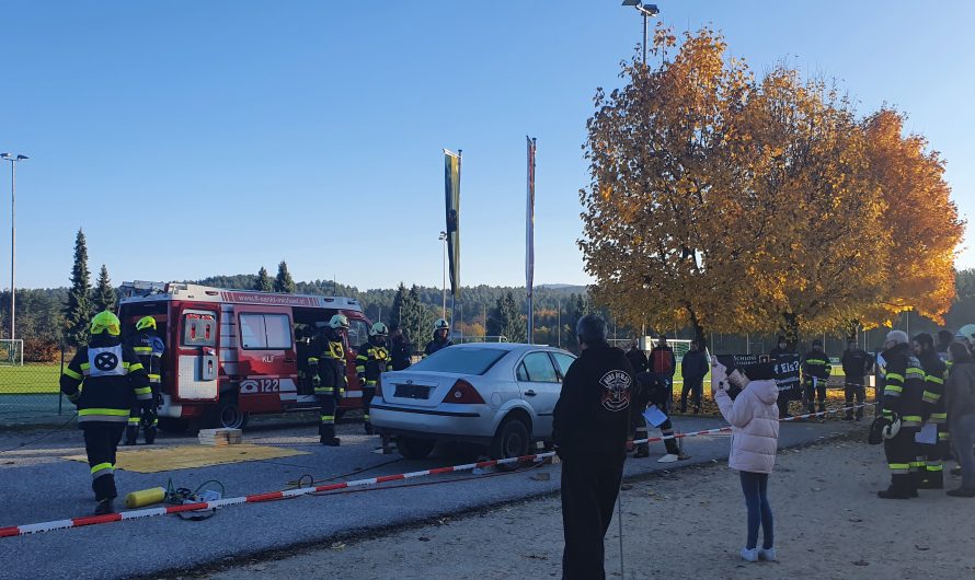 Technische Leistungsprüfung in Silber erstmals in Kärnten offiziell ausgetragen