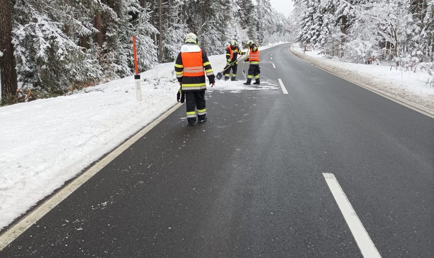 Baum blockierte L128 Mittlerner Straße