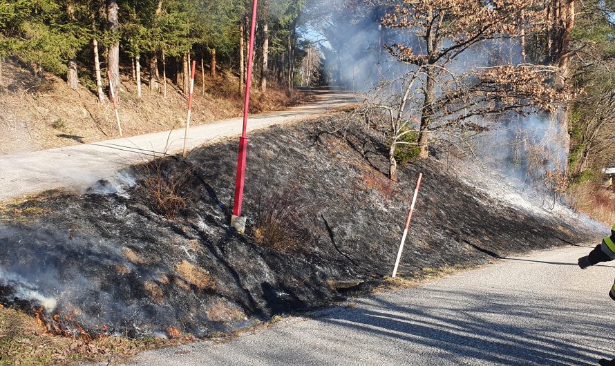 Böschungsbrand in St. Michael ob Bleiburg