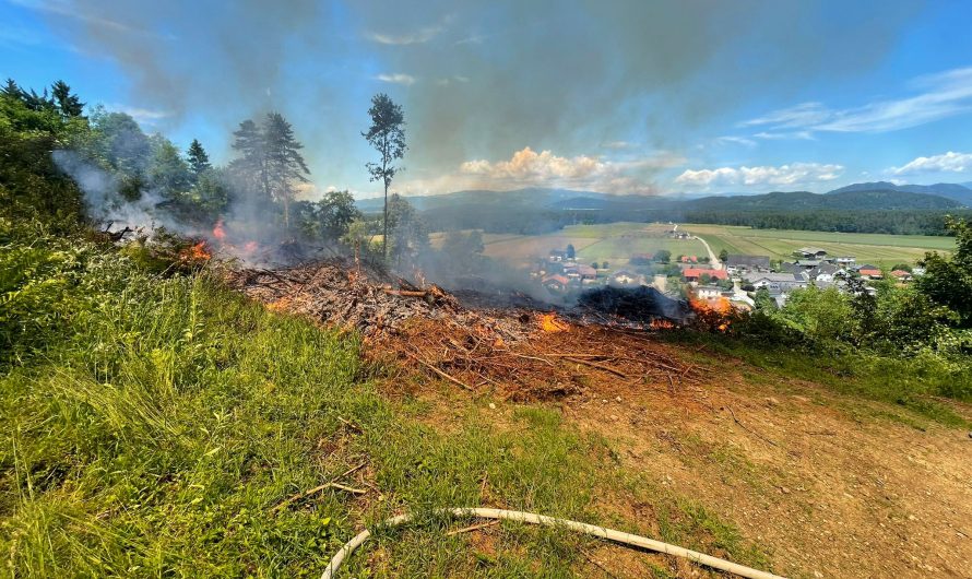 Waldbrandübung mit der Feuerwehrjugend