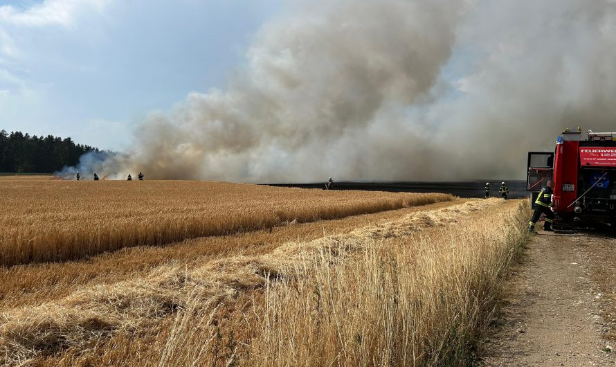Brand eines Getreidefeldes