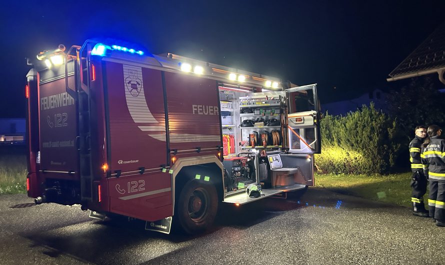 Keller unter Wasser und Baum auf Fahrbahn